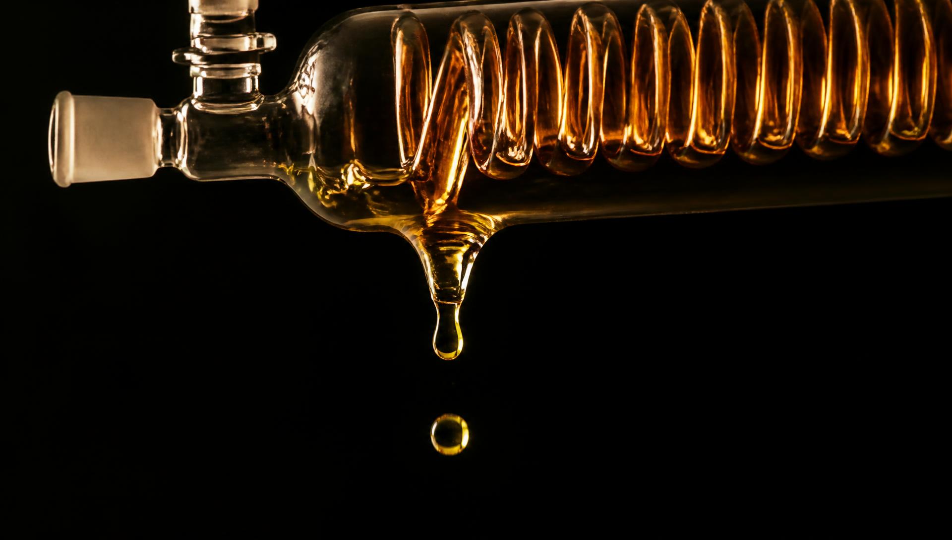 Luz atravessando um vaso de vidro com líquido âmbar concentrado, a destilação como metáfora do trabalho da Distill
